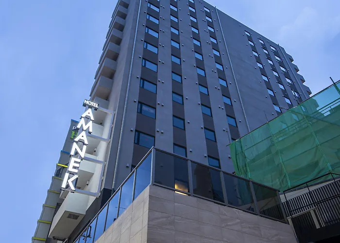 Hotel Amanek Kamata-Eki Mae